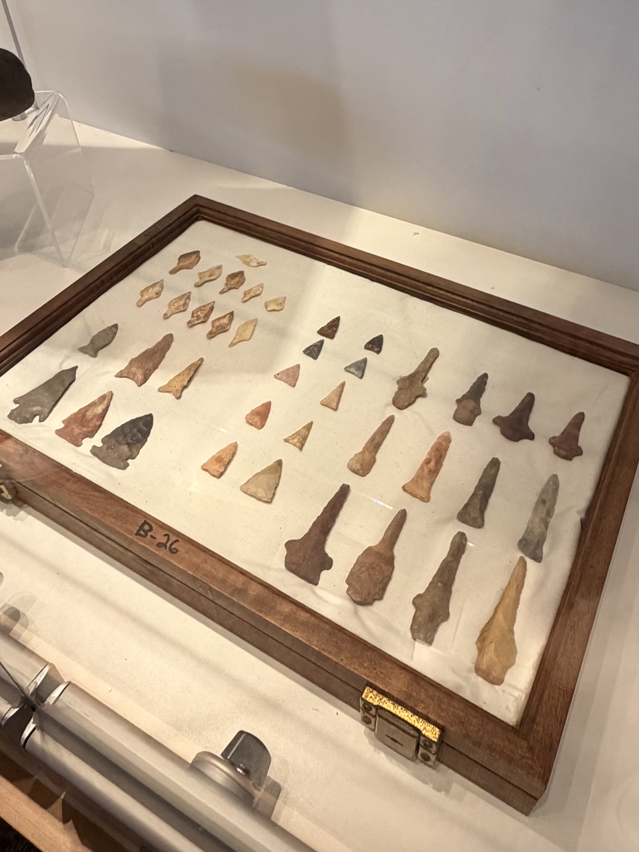 Arrowhead collection display