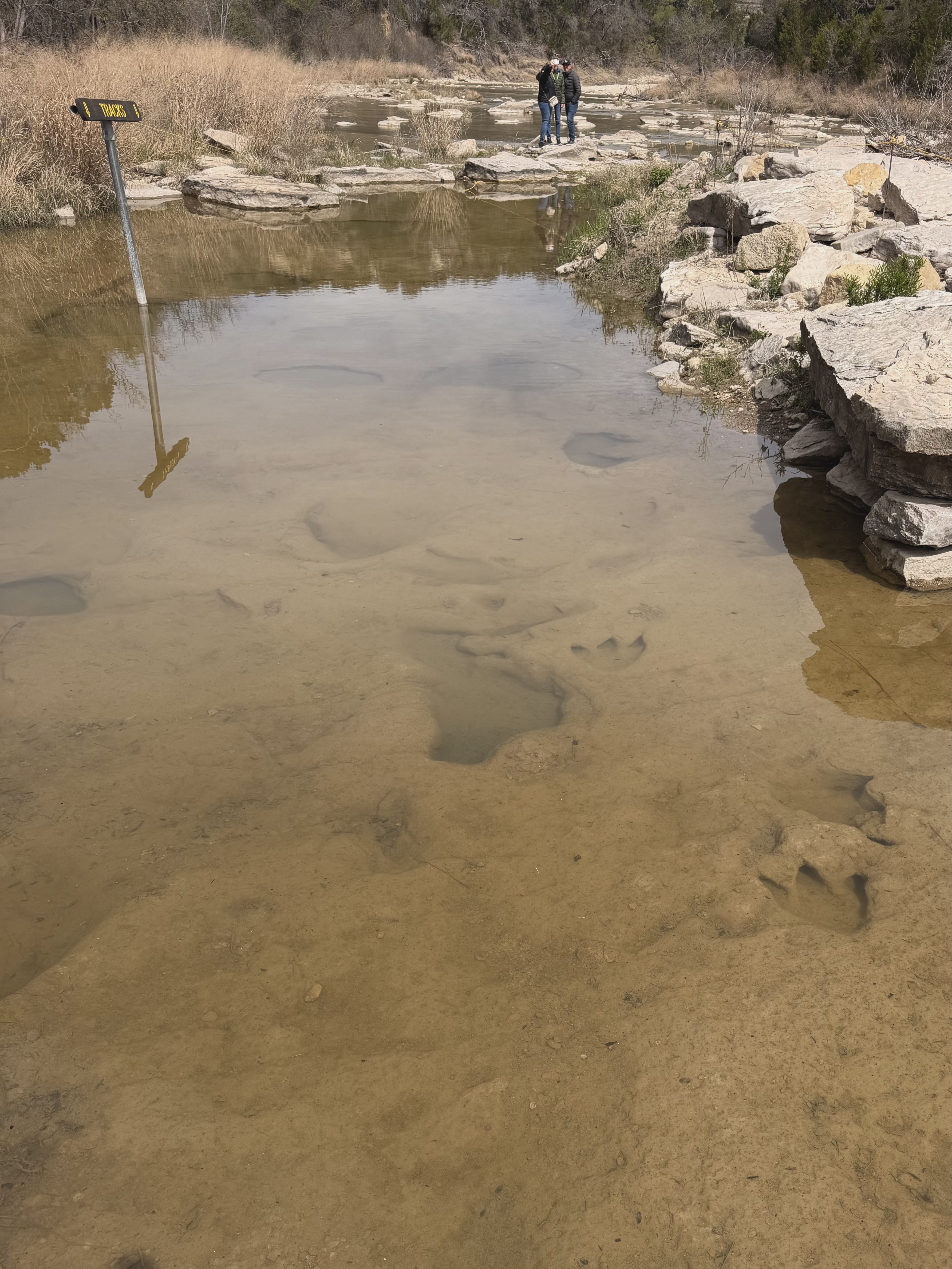 Dinosaur tracks in the Paluxy River