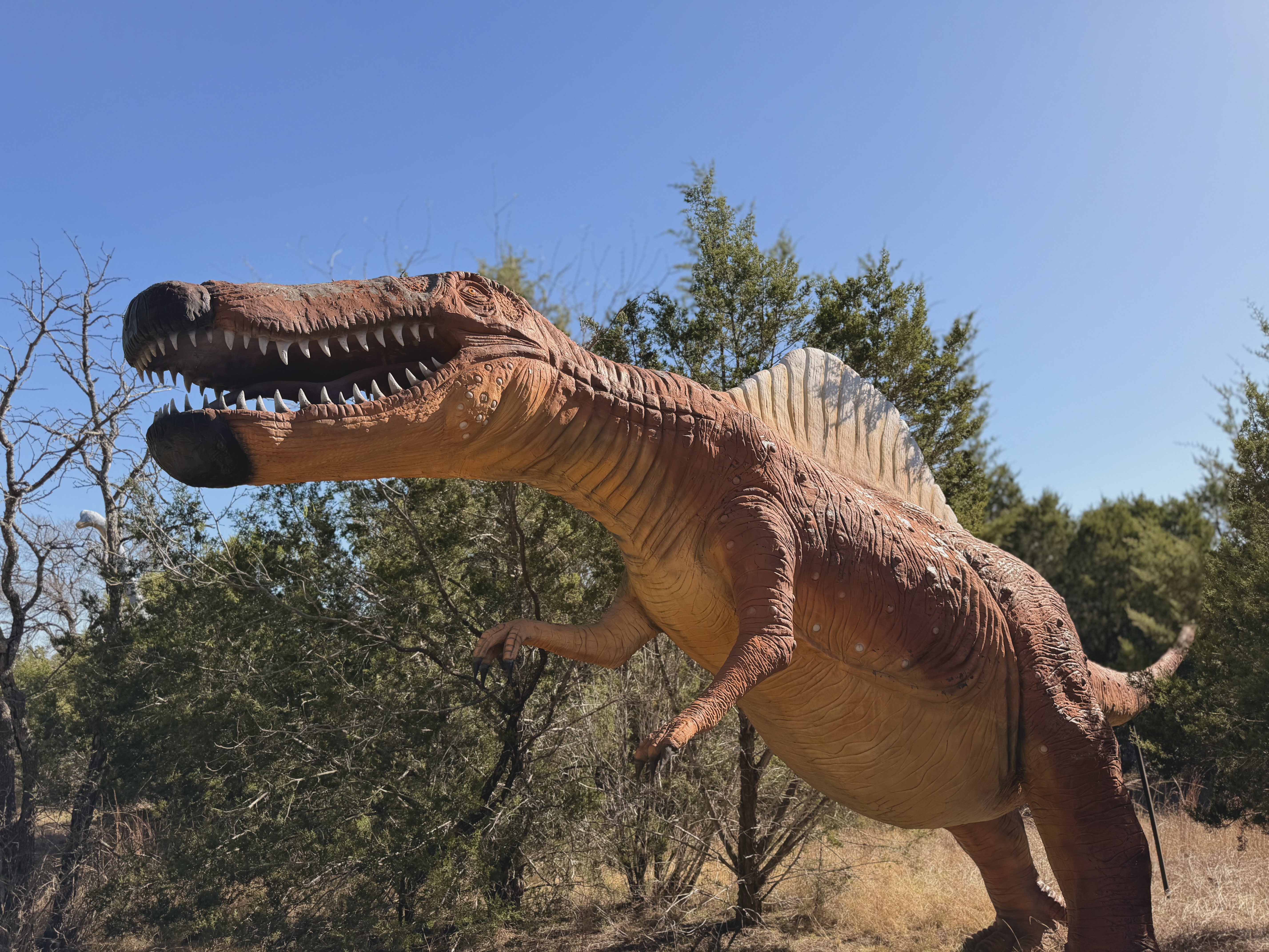 Spinosaurus model close-up