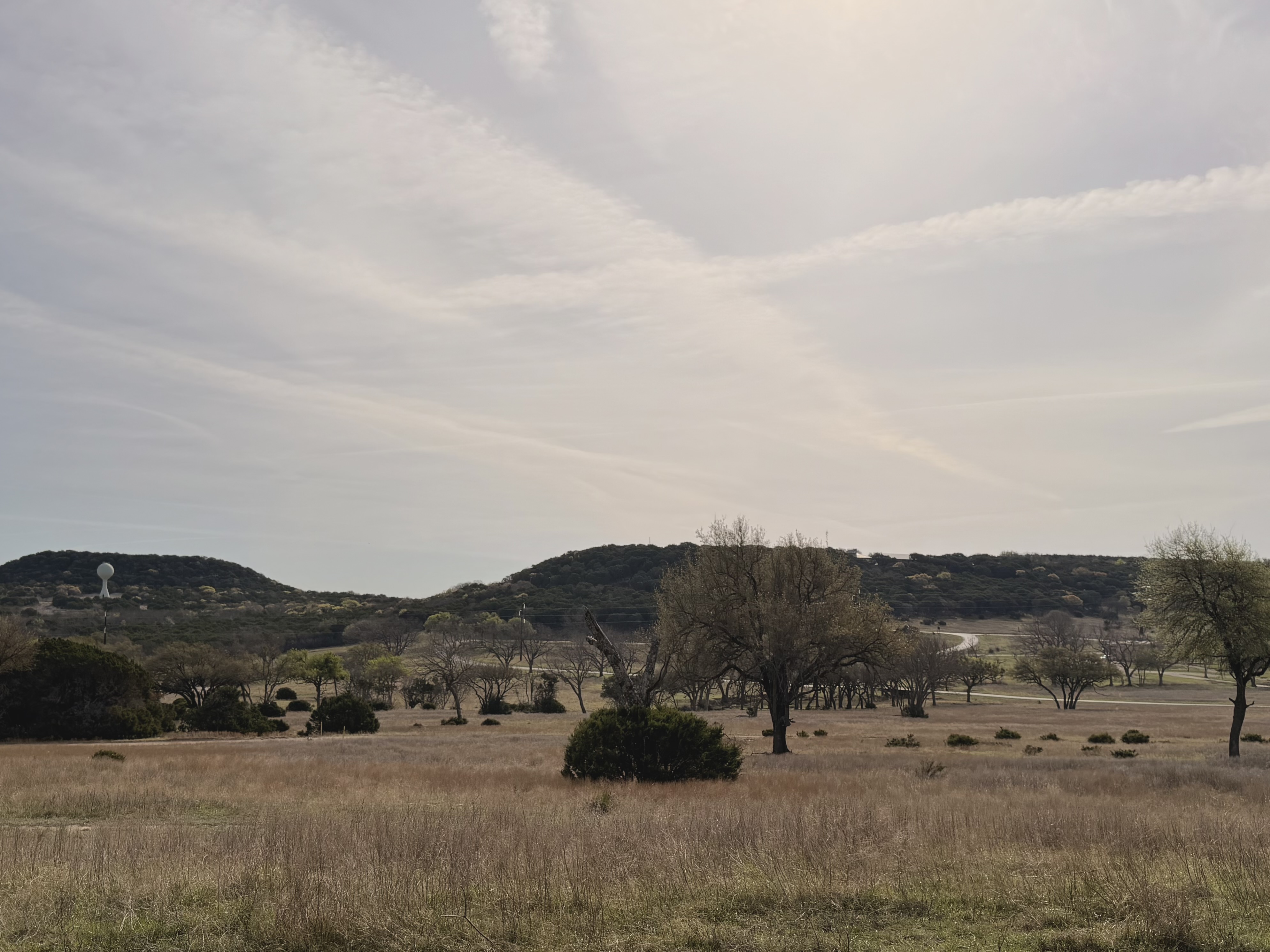 Wide panorama of rolling Texas hill country at Fossil Rim — open grassland, scattered oaks, water tower in distance