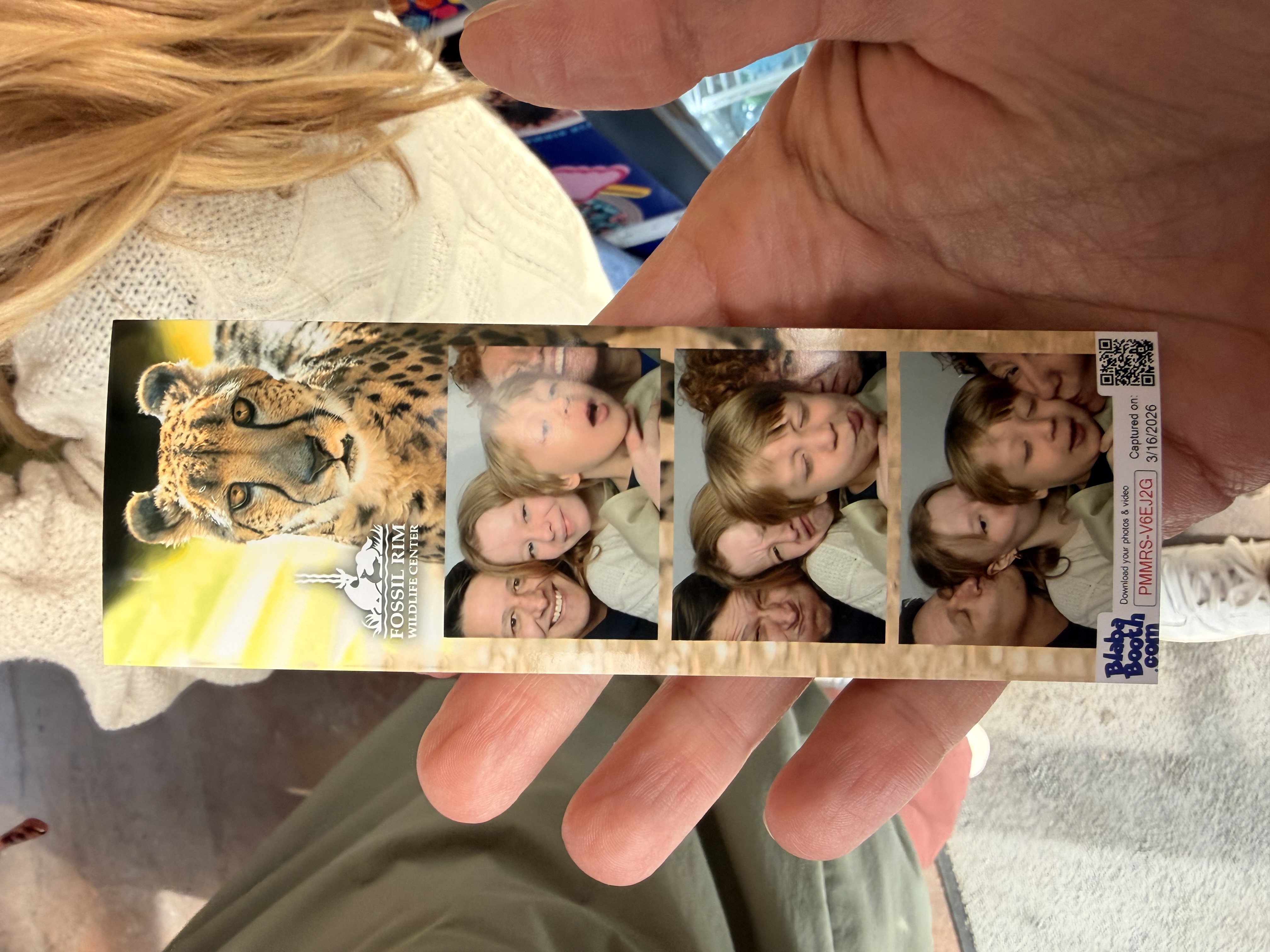 Fossil Rim photo booth strip — cheetah photo and three family poses